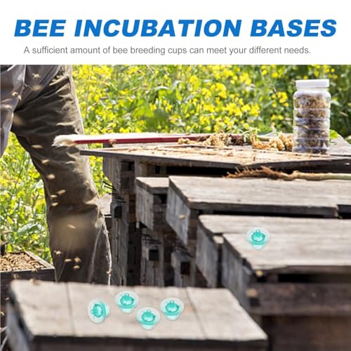 300Pcs Rearing Cups Bee Breeding Cells for Efficient Beekeeping Storage Easy Management Tool for Beekeepers