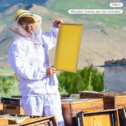 30 Pack Beeswax Hive Foundations 19.5x41.5cm, Natural Beekeeping Foundation Sheets with Deep Cells, High Purity Beeswax for Langstroth Hive Frames, Bee Supplies for Honey Production DIY Candle Making