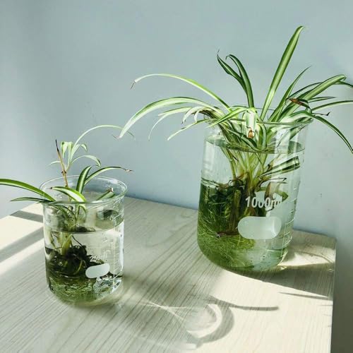 ULAB Scientific Glass Beakers, Vol. 500ml, 3.3 Borosilicate Griffin Low Form with Printed Graduation, Pack of 6, UBG1038 - style: Vol.500ml, Pack of 6