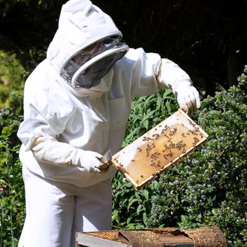 Bee Suit Series,One-Piece Full Set of Clothing with Gloves,Polycotton Material is More Assured - color: White Fencing Veil, size: XL Large