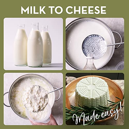 Easy Cheesemaking Set | 5 Cheese Molds + Cheese Making Book | Made in Italy | Recipes to Make Ricotta, Paneer, Goats Cheese, Quark and More | Professional Cheese Press Basket Mold Set of Strainers - size: Set of 5 + Book