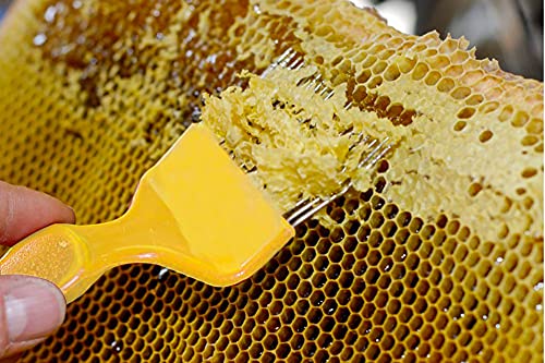 Aliotech Beekeeping Stainless Steel Uncapping Fork with 21 Tines Stainless Steel Bee Keeping Tool