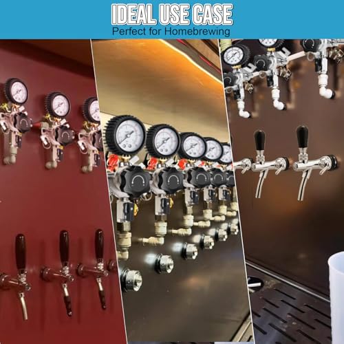 Professional Secondary CO2 Regulator, Pressure Beer Regulator Dual Gas Inlets & 0-60PSI Gauges for Independently Controlling Multiple Homebrew or Commercial Kegs, with Relief Valve & Barbed Outlets - size: 2 Input+ 1 Output