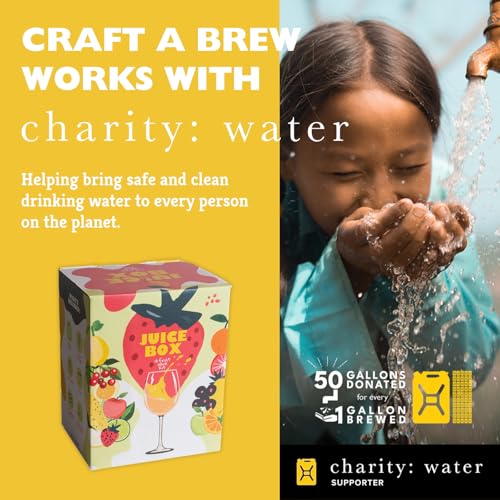 Craft A Brew - Juice Box - A Fruit Wine Making Kit - Easy for Beginners - At Home Wine Making Kit - Includes Ingredients & Reusable Equipment - Use Any Fruit Juice or Lemonade - Makes 1-Gal Batch - style: Juice Box Wine Making Kit