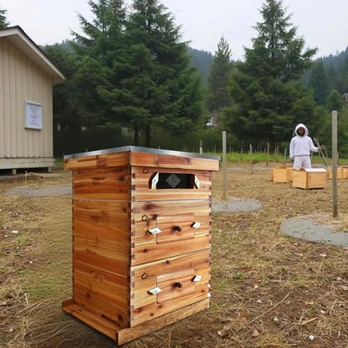 10 Frame Bee Box, Wax Coated Bee Hives with Beehives Frames and Wax Foundations, Langstroth Honey Super for Beekeeping Supplement (Unassembled) - style: with Window 2 deep boxes+1 medium box