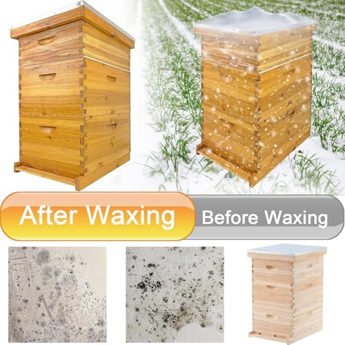 Langstroth Bee Hive with Beeswax Includes Beehive and Waxed Foundations Includes 2 Deep Bee Boxes, 1 Medium Bee Hive Super for Beginners (3-Layer)
