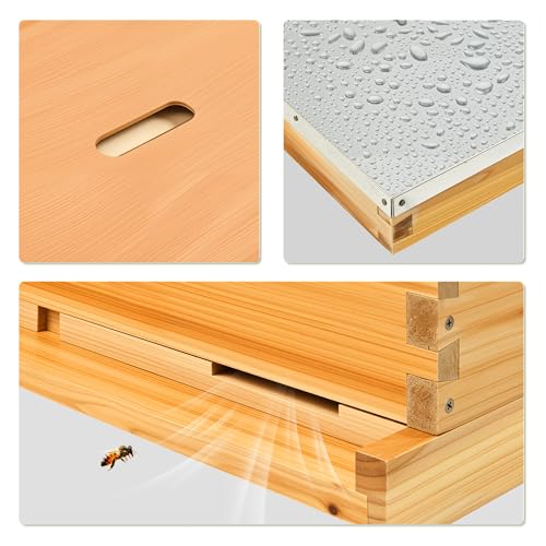 CREWORKS 10 Frame Bee Hive, 2 Layers Beeswax Coated Beehive Starter Kit with Frames & Foundations, Langstroth Bees Hives Box with Transparent Acrylic (Window Medium Box & Deep Box) - style: 2 Layer Beeswax Coated