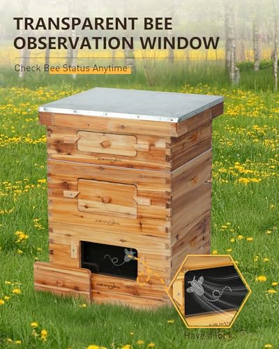 10 Frame Langstroth Bee Hive Kit, 2 Deep & 1 Medium Box | 10-Frame Langstroth Hive with 2 Deep Brood Boxes, 1 Medium Honey Super, 30 Pine Frames and an Observation Window - size: 2Deep+1Madium Bee Box
