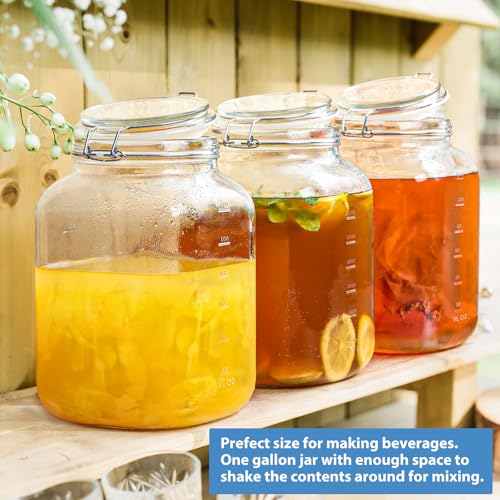 1 Gallon Wide Mouth Glass Jars with Airtight Lids, Large Glass Storage Containers with Lids, 4200 ML Mason Jars with 2 Scales - Canning Jars with Large Capacity, Canister for Pet Food, 2 Pack