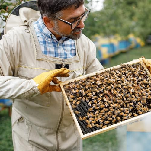 20 Pcs Beehive Waxed Coated Foundation Wax for Bee Frames Plastic Portable Honeycomb Sheet Beeswax Coated Foundation Sheet Beehive Equipment Fit Deep Frame (Black) - color: Black