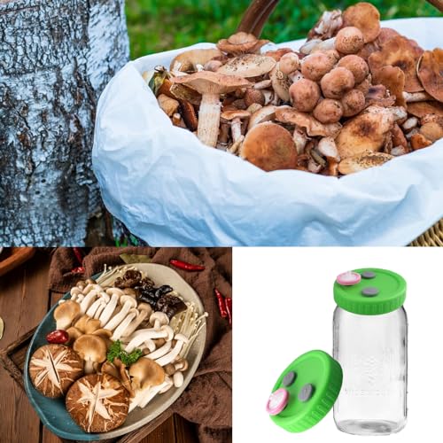 10 Pcs Mushroom Liquid Culture Lids for Wide Mouth Mason Jar with 0.22um PTFE Filter & Self-healing Rubber Stopper, Cultivation Mason Jar Cap for Mushroom Grow