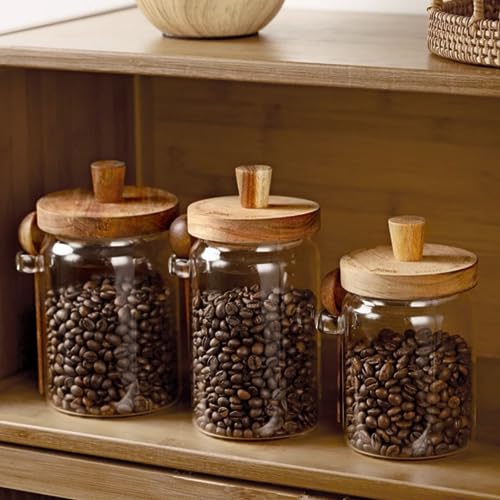 ANSQU Set of 2 Glass Coffee Canisters, 27 oz Jars with Spoons | Coffee Containers with Wooden Lids, Coffee Grounds Containers, Coffee Bar Organizer - size: 27oz-2pack (φ3.54")