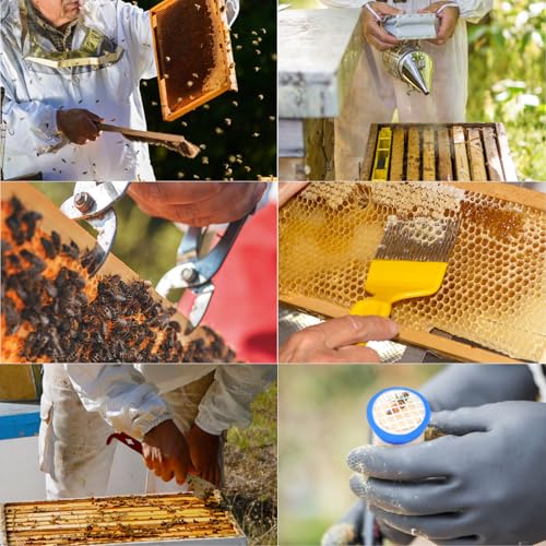Blisstime 13pcs Bee Hives Starter Kit Beekeeping Supplies with Bee Suit, Bee Supplies and Equipment with Bee Smoker, Honey Bee Hive Tools for Beginners and Bee Keeper(XXL)