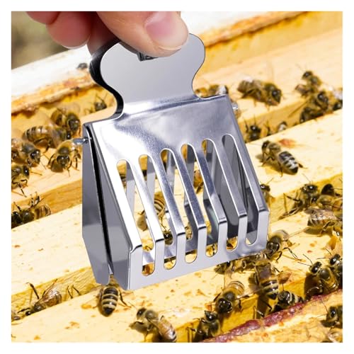 Queen Bee Cage 1pcs Bee Queen Cage Transparent Plastic Clip Catcher Box Stainless Steel clamp Beekeeping Equipments Beekeeper Equip(Stainless Steel) - color: Stainless Steel