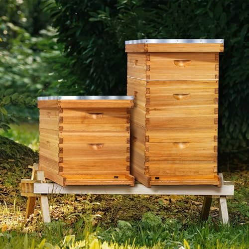 10-Frame Langstroth Bee Hive Complete Bee Hive Kit Beeswax Coated Include Beehive Frames and Waxed Foundation Sheets for Beekeeper (2 Deep Beehives Box & 1 Medium Box)
