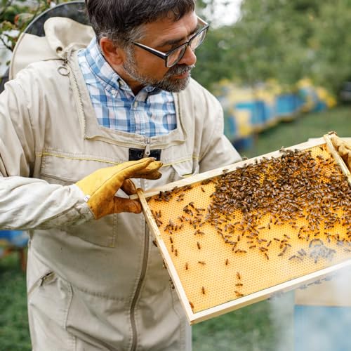 20 Pcs Beehive Waxed Coated Wax Foundation for Bee Frames Plastic Portable Honeycomb Sheet Beeswax Coated Foundation Sheet Beehive Equipment Fit Deep Frame (Yellow) - color: Yellow