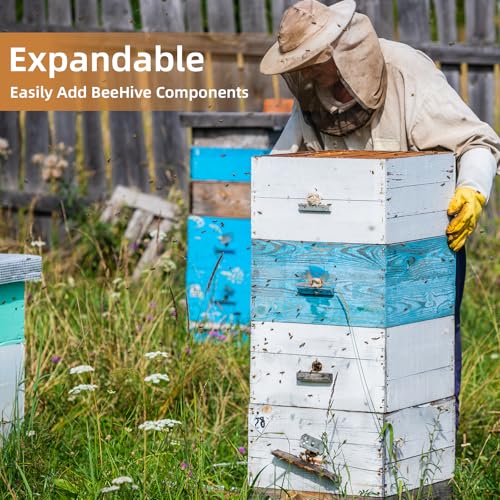 BeeTech 10 Frame Beehive Middle Box Super Bee Box Painted for Sale Bee Hives with Windows - size: Medium Box