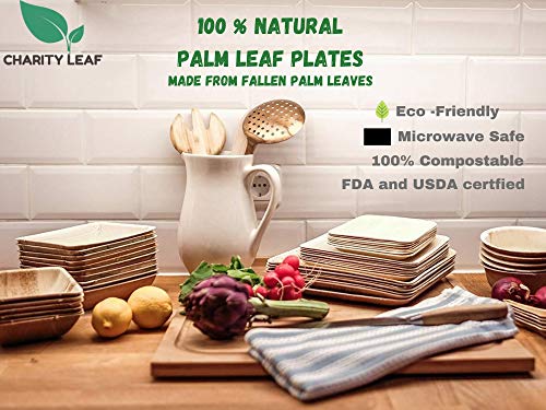 Charity Leaf Disposable Palm Leaf 15" x 10" Trays (10 pieces) Bamboo Like Serving Platters, Disposable Boards, Eco-Friendly Dinnerware For Weddings, Catering, Events - color: 10, size: 15x10" Oval