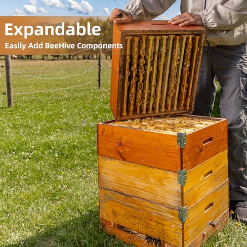 10-Frame Langstroth Medium Super Bee Hive Box, Dipped in Beeswax, Includes Wooden Frames & Waxed Foundations, Unassembled for Beginner Beekeepers - style: Medium Box