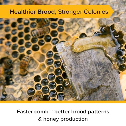 Mann Lake 5 5/8" Waxed Black Rite-Cell Foundation Sheets, Made in the USA, BPA-Free, Food-Grade, Beeswax-Coated for Beehive Frames, Fits 6 5/8" Hive Bodies, Durable, Wax Moth Resistant, 100-Pack - color: Black, size: 5-5/8-Inch