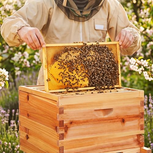 AceOrbit 10 Frame Bee Hive Kit with Wax-Coated Wooden Box Telescoping Cover Screened Bottom Board Beekeeping Supplies with Pull-Out Plastic Base and Entrance Reducer