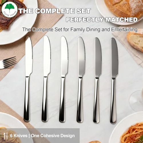 6 Piece Stainless Steel Dinner Knives Set, 9 Inch | Mirror Polished Blade, Serrated Edge, Dishwasher Safe, Ideal for Home, Restaurant, Gifting