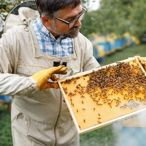 Weysat 40 Pcs Waxed Coated Beehive Foundation Sheets Beehive Wax Coated Foundation for Bee Frames Plastic Beeswax Sheet Bee Hive Equipment Deep Frame(Yellow) - color: Yellow
