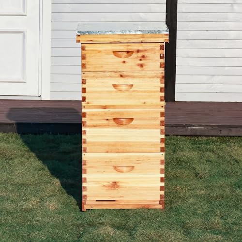 10-Frame Langstroth Bee Hive Coated with 100% Beeswax Includes Beehive Frames and Foundations (2 Deep Boxes & 2 Medium Boxes) - size: 4 Layer