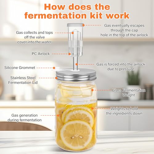 Xileanalee Fermentation Kit Set for Wide Mouth Mason Jar,Sauerkraut/Pickling Kit with 4 Glass Fermentation Weights,4 Fermenting Lids,4 Airlocks,5 Silicone Gaskets,5 Silicone Grommets(No Jars) - color: White