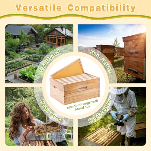 Bee Frames, Deep Beehive Frames with Wax Foundation, 10Pcs Hive Frames, 9-1/8-Inch, Unassembled