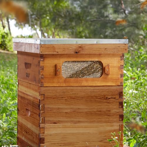 Honey Keeper Medium Super Brood Box with Window, 100% Beeswax Coated Beehive Kit with 10 Wooden Frames and Waxed Foundations for Langstroth Beekeeping - color: Yellow, size: Medium Super Box