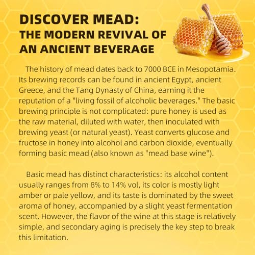 Mead Making Kit for Beginners 1 Gallon Home Brewing Kit with Glass Fermentation Jar Siphon Airlock Stopper Temperature Labe Funnel Hydrometer Reusable DIY Honey Wine Starter Set