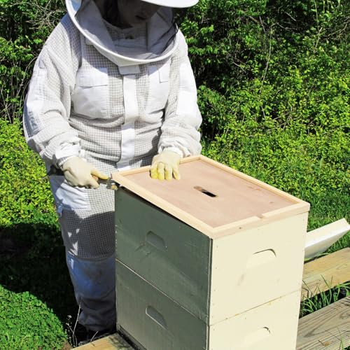DoubleFill 6 Pcs Beehive Inner Cover for 10 Frame Hive Box Cover with Feeding Hole Beehive Insulation Ventilation Inner Cover for Beekeeping Tool