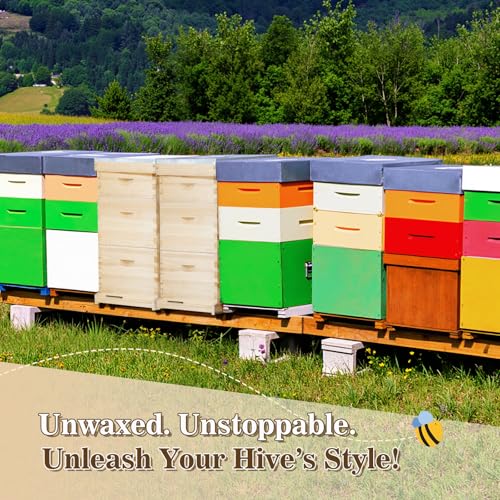 BeeCastle 10-Frame Complete Bee Hives and Supplies Starter Kit,Beehives for Beginners with Beehive Frames and Waxed Foundations (2 Deep Bee Boxes & 1 Medium Super Bee Box) - size: 2 Deepes & 1 Medium