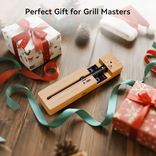 Newise Bluetooth Wireless Meat Thermometer with Smart APP, Long Range & Fast Charge, Digital Food Thermometer for Grill, Oven, Smoker, Perfect Father Day Gifts - style: 1 Probe
