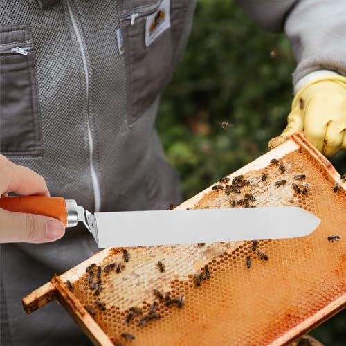 Beekeeping Uncapping Tool Stainless Steel Honey Scraper with Wooden Handle 13.4 Inch Efficient Cutting and Rust Resistant for Manual Honey Extraction and Apiary Use Random Color