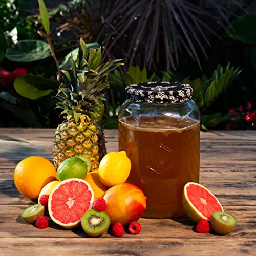 Craft A Brew Home Brewing Starter Kit Kombucha Tea Kit – Home Kombucha Kit – Fermentation Starter with Kombucha SCOBY – 1 Gallon - color: Starter Kit