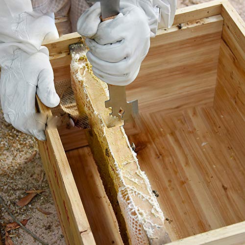 Wooden Handle Multifunction Bee Hive Scraper Tool Beekeeping Equipment Bee Hive Beekeeping Tool Supplies (Scraper Tool) - color: Scraper Tool