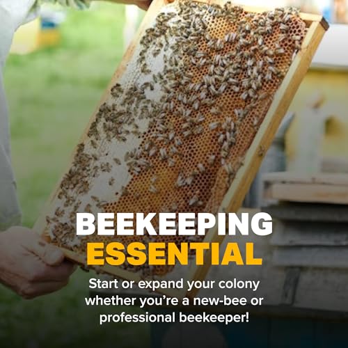 Mann Lake Ultra Bee Pollen Substitute, High-Protein Dry Feed for Healthy Bee Colonies to Support Brood Growth & Vitality, Nutrient-Rich with Vitamins and Amino Acids, No Animal by-Products, 10-Lb - size: 10 Pound (Pack of 1)