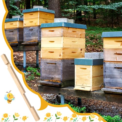 DECYOOL 4 Pieces Beehive Entrance Reducer, Wooden Hive Entrance Reducer | 10 Frame Beehive Supplies with 2 Size Openings Control Warm and Ventilated for Keep Out Honey Robbers Beekeeping Supplies