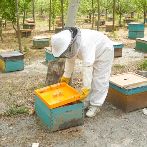 1pcs Bee Hive Feeder, Plastic Bee Top Feeder Langstroth 10 Frame Easy to Use Bee Feeding Tools in Hive Bee Feeder for Beekeeper Beekeeping Supplies - size: 1PCS