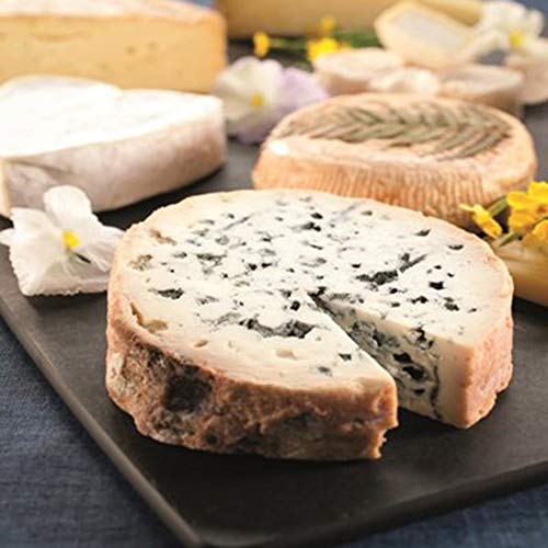 5pcs Cheese draining/ripening mat 8’’Cheese Drying Mats Cheesemaking equipment Cheese making at home (8'')