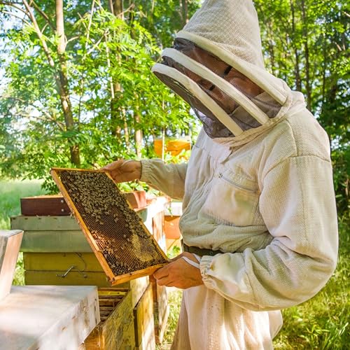 Cotton Jacket with Fencing Veil for Professional Beekeepers (Medium)