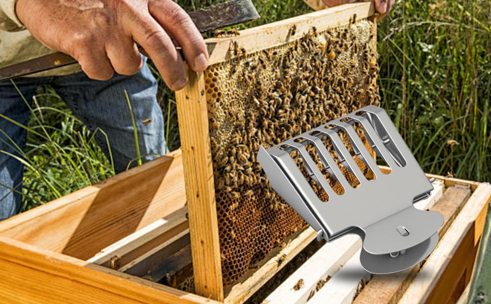 5 PCS Stainless Steel Queen Bee Cage Catcher Clip, Durable Beekeeping Tool for Safe Hive Management, Essential Beekeeper Supplies for Apiculture