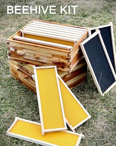 Bee Hive 10 Frame Bee Box Starter Kit, Beeswax Coated Bee Hives for Beekeepers, 2 Deep + 1 Medium Langstroth Beehive Kit, Beekeeping Supplies with Transparent Plastic Window and Queen Excluder