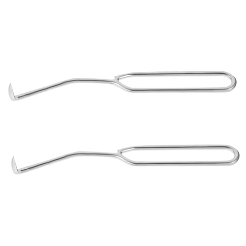 2pcs Beekeeping Tool Beehive Cleaning Hooks Bee Box and Frame Care Beehive Cleaner for Safe Beekeeping