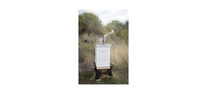 Harvest Lane Honey Standard Smoker