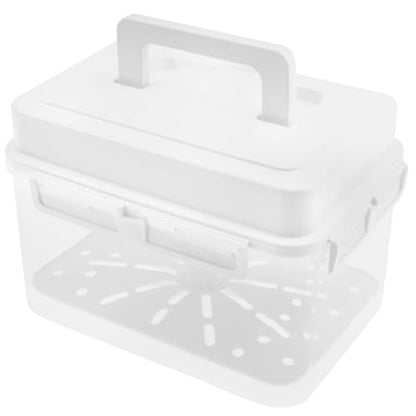 Press Plate Leakproof Airtight Pickle Kimchi Container, Press Plastic Fermentation Container, 4L Food Storage Box w Hidden Handle, Portable Mason Jar, Clear Sauerkraut Press Container for Home Kitchen - color: 4 L Preserving Jar
