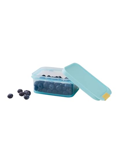 LocknLock Freezer Fit Plastic Freezer Containers | Airtight Stackable Food Storage for Meal Prep | Microwave & Dishwasher Safe | BPA Free Freezer Container with Lid, 450ml - size: 450ml