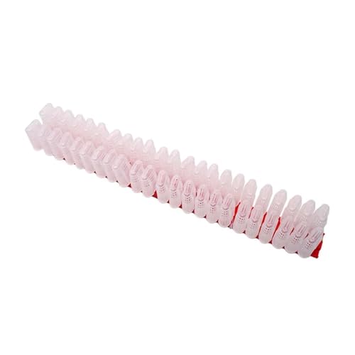 Queen Bee Cage 2pcs Queen Banking Cell Cage with Transport Box Kit Bee Moving Isolator Protection Case Shipping Bar Beekeeping Tools for Beekeeping Supplies(Bar) - color: Bar